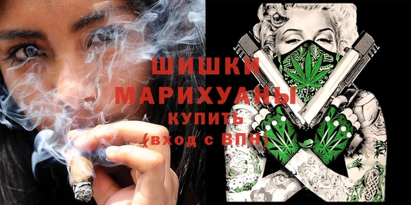 дживик Медвежьегорск