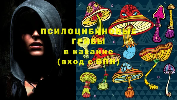 мдпв Михайловск