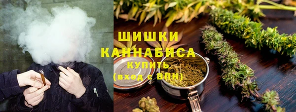 прущие грибы Армянск