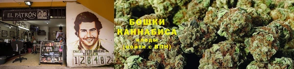 apvp Медногорск
