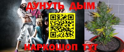 стафф Бийск
