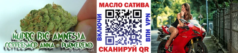 KRAKEN зеркало  Елабуга  ТГК вейп 
