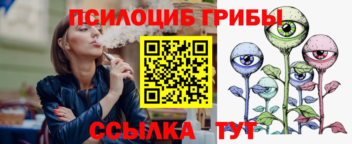 Галлюциногенные грибы Psilocybine cubensis Елабуга