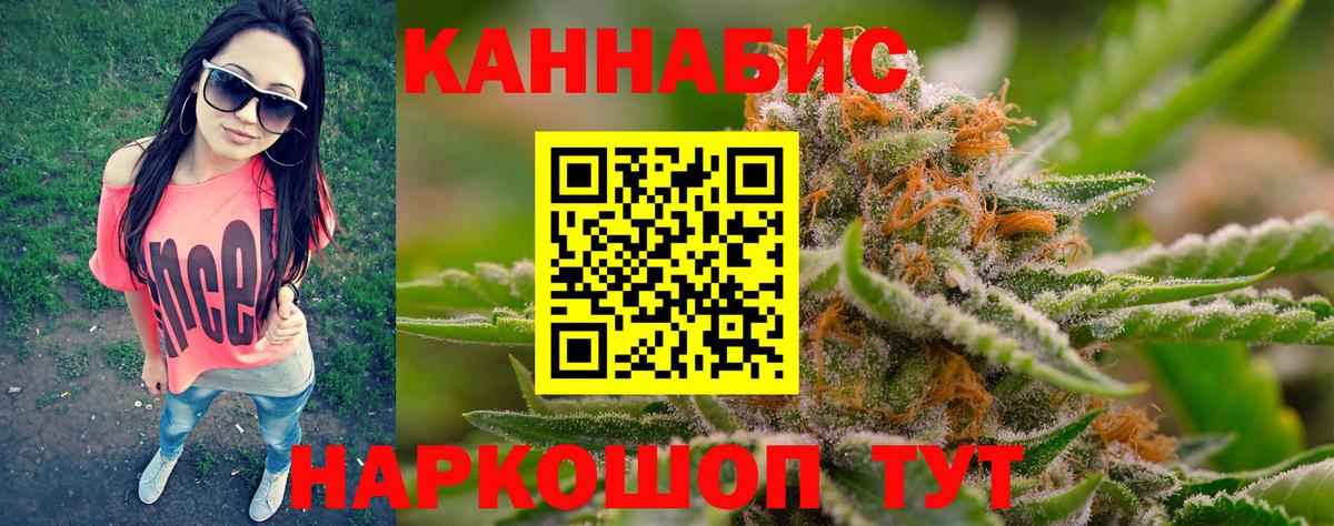 Конопля гибрид Елабуга